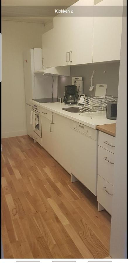 Blue House Brevik Porsgrunn Apartment ภายนอก รูปภาพ